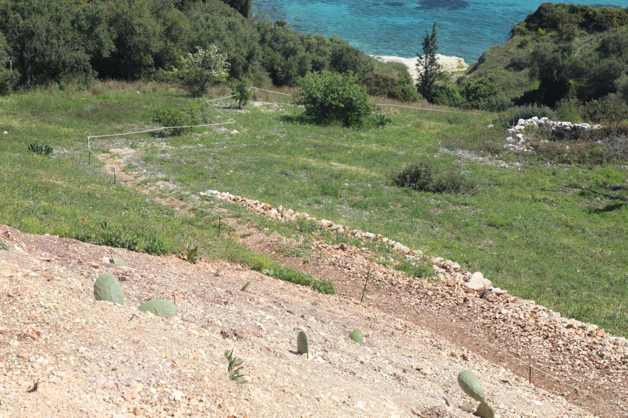 Zante Xigia Bay Villas Khartáta エクステリア 写真